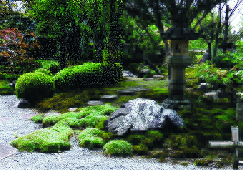 【作庭倶楽部】もちお造園