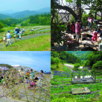 【お知らせ】 第2回庭NIWAシンポジウム「庭の未来へ」開催