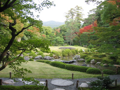 庭園の維持管理  樹木の剪定について  野村 脩/東海造園