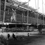 フィールドオフィス・アーキテクツ展  Living in Place