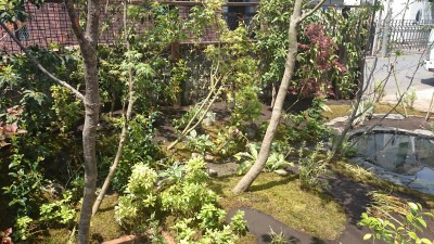 “なんとなくいい庭”をつくりたい　　鈴木康幸／植繁