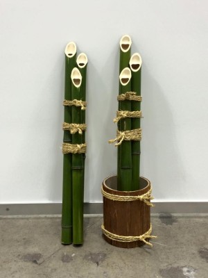 12241357_938678696170071_4016394566003029717_n