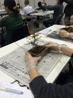 12249819_937957519575522_7799827539299723061_n