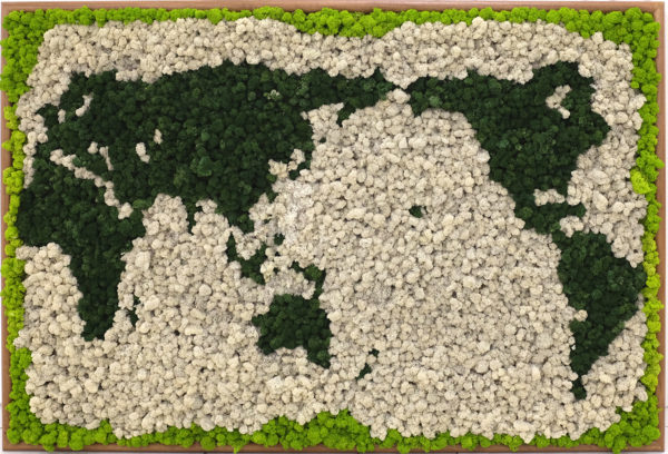モス世界地図LL