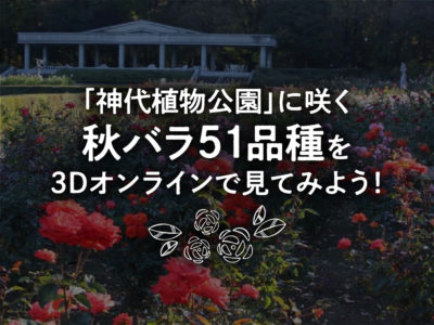 神代植物公園と連携してWEB上にオンラインばら園／GreenSnap