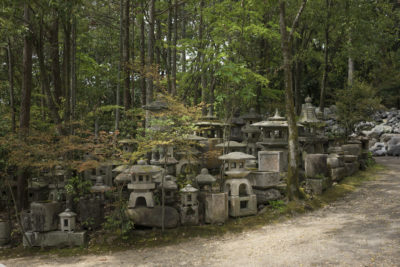 株式会社北山都乾園