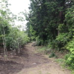 有限会社鵜飼農園