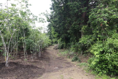 有限会社鵜飼農園