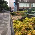 庭園文化と浸水対策を伝える「雨庭」/ 京都市役所前に雨庭構造見本庭園完成