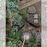 庭NIWA No.251 2023夏号 市中の山居としての露地