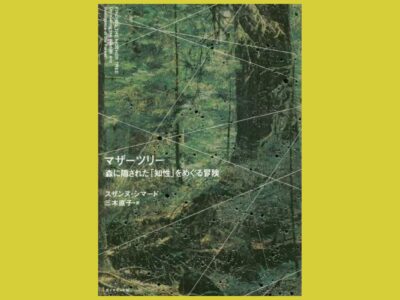 森で交わされる木々の会話　映画「アバター」の原案にもなった生態学的発見『マザーツリー』