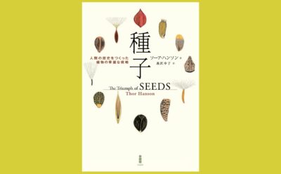 必携！ 茶室と露地の決定版大辞典、登場『茶室露地大事典