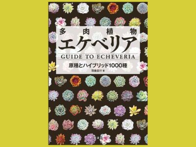 多種多彩なエケベリアの植物図鑑『多肉植物 エケベリア』原種とハイブリッド1000種