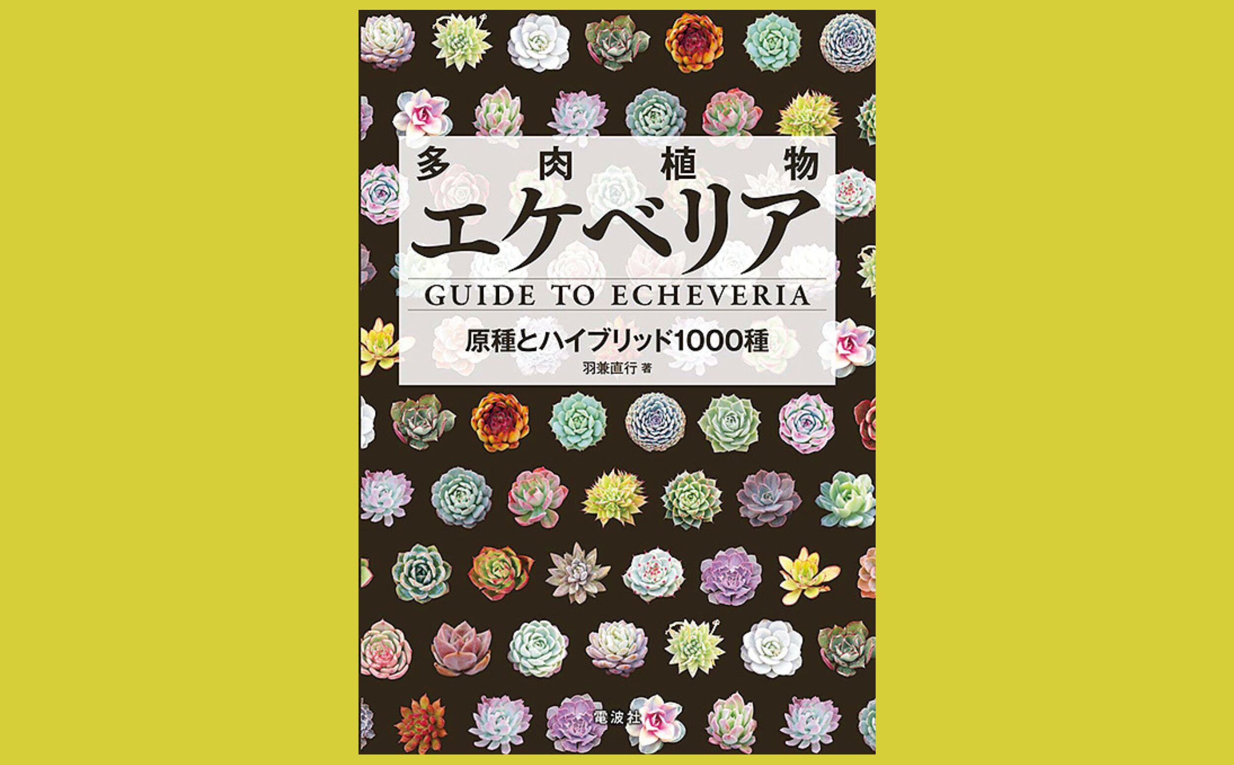 多種多彩なエケベリアの植物図鑑『多肉植物 エケベリア』原種とハイブリッド1000種