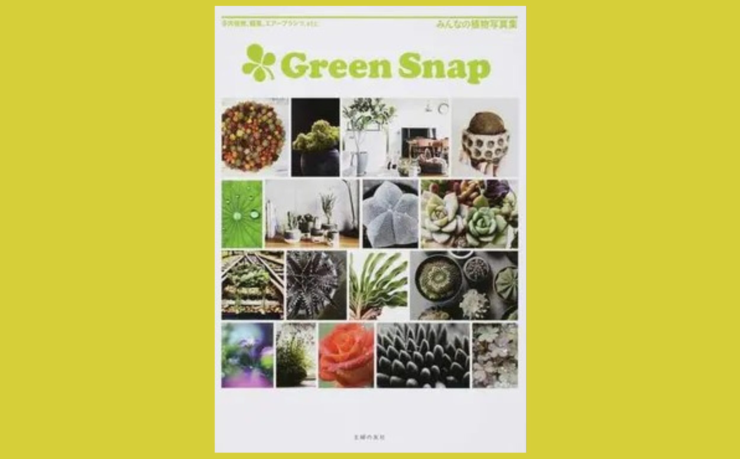 SNSで盛り上がる植物人気　多肉植物、観葉、エアープランツ、etc.『Green Snap みんなの植物写真集』