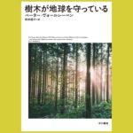「木材は環境に優しい」？ドイツから届いた森林官の声『樹木が地球を守っている』