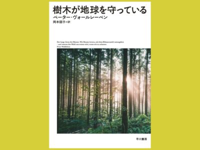 「木材は環境に優しい」？ドイツから届いた森林官の声『樹木が地球を守っている』