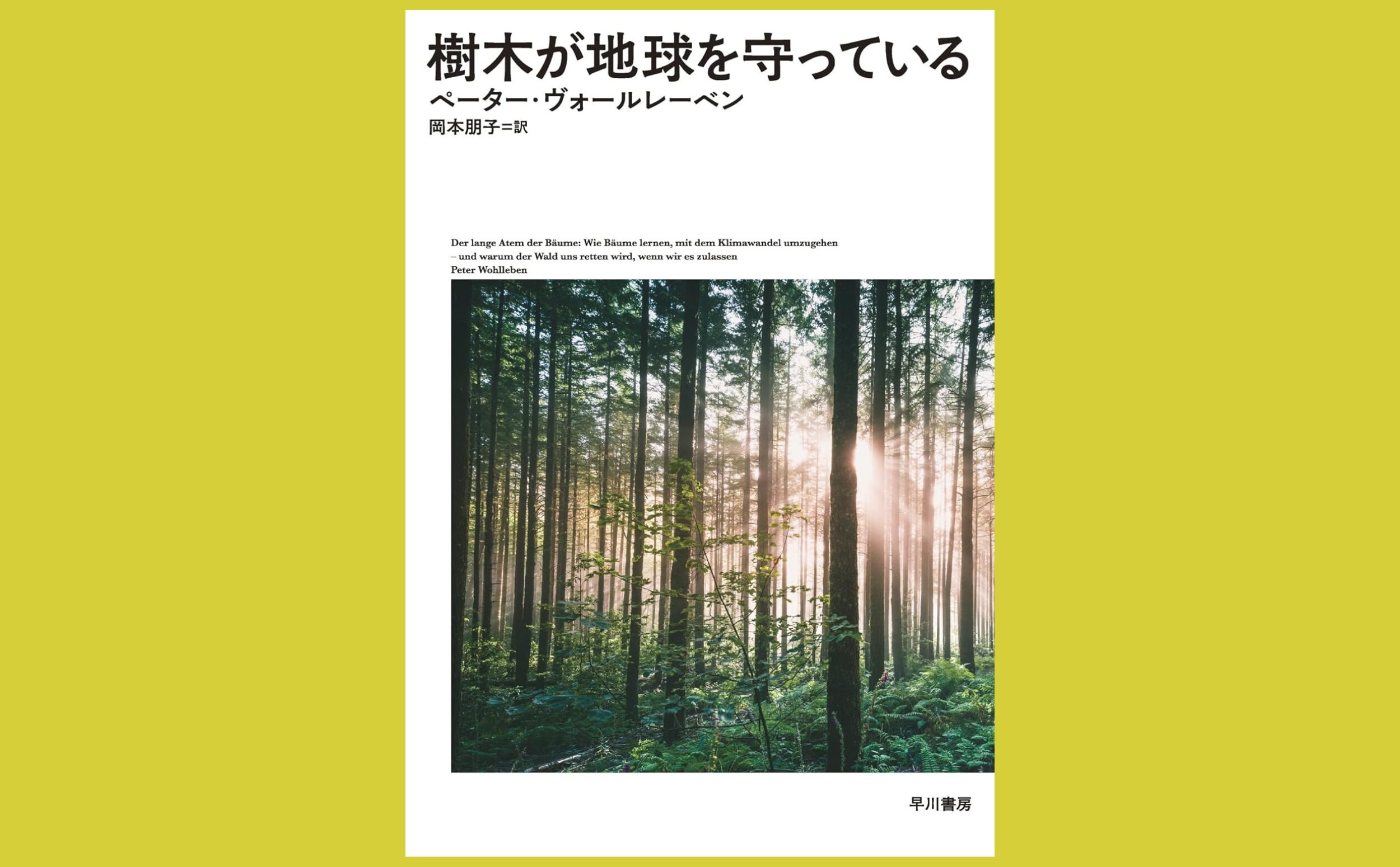 「木材は環境に優しい」？ドイツから届いた森林官の声『樹木が地球を守っている』